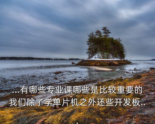 電氣自動化有學(xué)單片機嗎,電氣自動化需要學(xué)好單片機嗎?