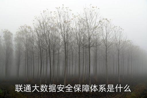 聯(lián)通大數(shù)據(jù)安全保障體系是什么