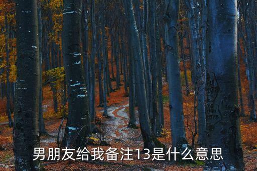 男朋友給我備注13是什么意思
