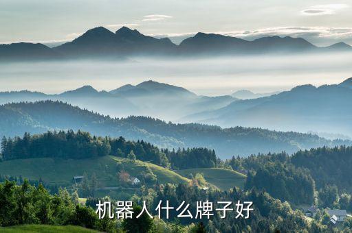 小米掃地機(jī)器人 記錄,掃地機(jī)在掃地機(jī)器人列表中排名