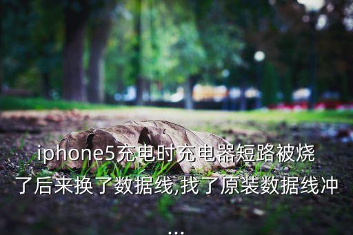 蘋果原裝數(shù)據(jù)線燒了,原裝蘋果數(shù)據(jù)線