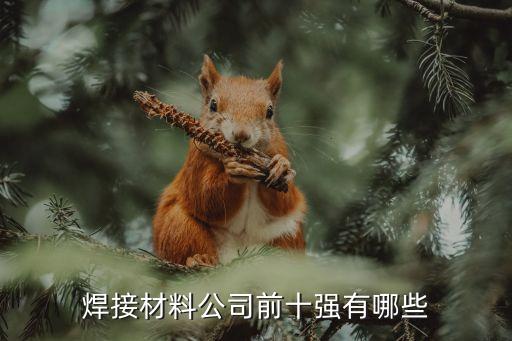 自動化焊接設備廠家有哪些公司,焊接自動化設備有限公司