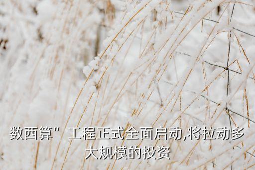 全球數(shù)據(jù)中心投資規(guī)模 dcd,大數(shù)據(jù)中心投資規(guī)模