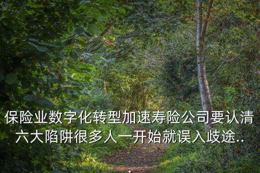 保險業(yè)數(shù)字化轉(zhuǎn)型加速壽險公司要認清六大陷阱很多人一開始就誤入歧途...