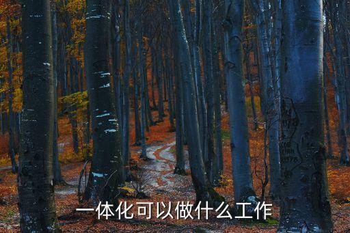 一體化可以做什么工作