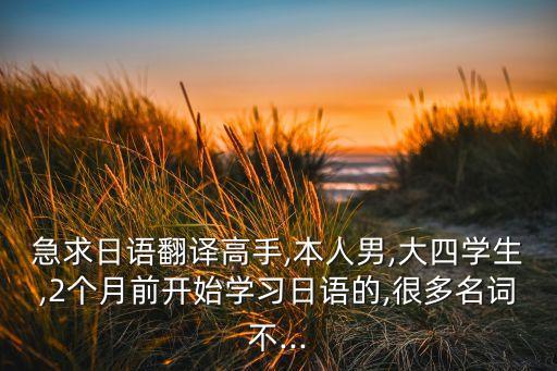 急求日語(yǔ)翻譯高手,本人男,大四學(xué)生,2個(gè)月前開始學(xué)習(xí)日語(yǔ)的,很多名詞不...