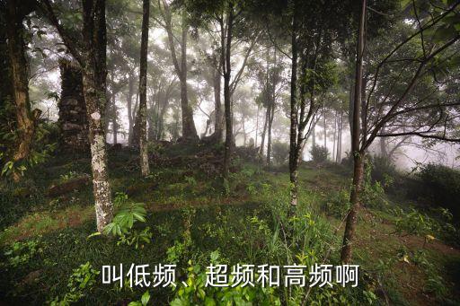 低頻率,什么是低頻、超頻、高頻?