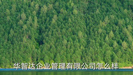 深圳華智達(dá)自動(dòng)化有限公司,蘇博達(dá)(深圳)自動(dòng)化有限公司
