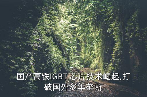 國(guó)產(chǎn)高鐵IGBT 芯片技術(shù)崛起,打破國(guó)外多年壟斷