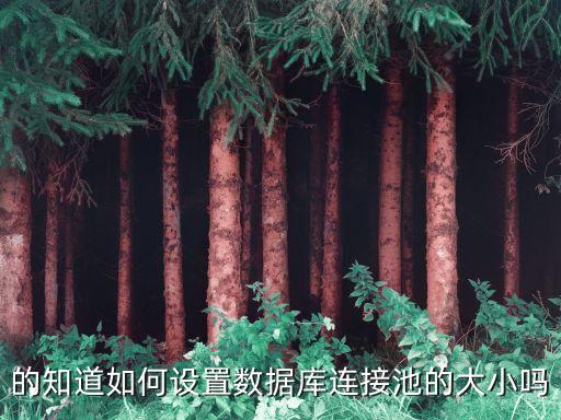 服務(wù)器數(shù)據(jù)庫連接 配置,數(shù)據(jù)庫無法連接到服務(wù)器