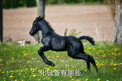 化設(shè)備有哪些