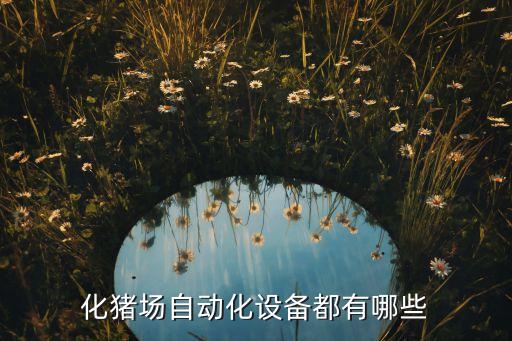 化豬場自動化設備都有哪些