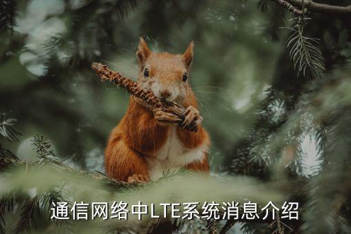 通信網(wǎng)絡(luò)中LTE系統(tǒng)消息介紹
