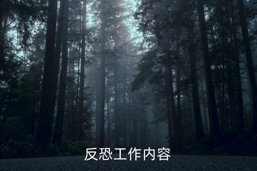 反恐工作內(nèi)容