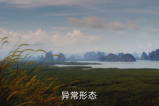 地電,什么是地磁,地電異常?