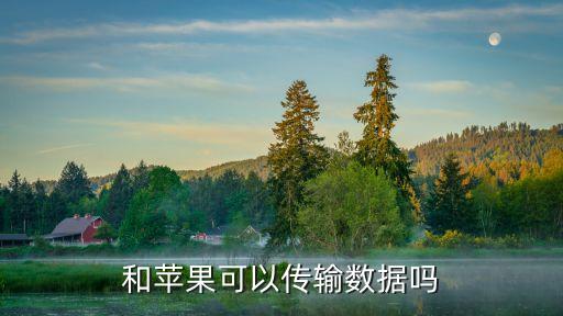 和蘋果可以傳輸數(shù)據(jù)嗎