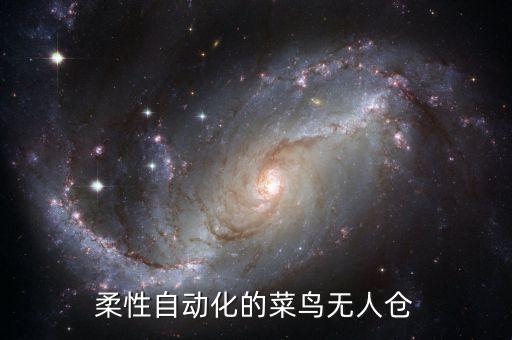 柔性自動(dòng)化的菜鳥(niǎo)無(wú)人倉(cāng)