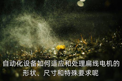 自動化設(shè)備如何適應(yīng)和處理扁線電機(jī)的形狀、尺寸和特殊要求呢