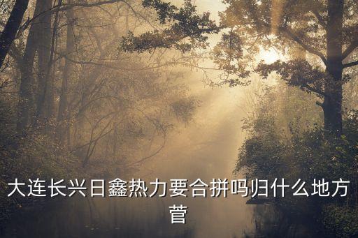 大連長興日鑫熱力要合拼嗎歸什么地方菅