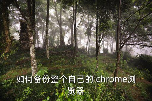 如何備份整個自己的 chrome瀏覽器