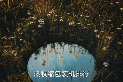 重慶自動化包裝設(shè)備哪家好,自動熱收縮包裝機排名