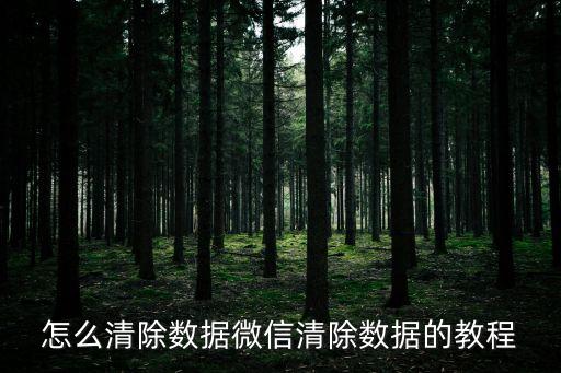 怎么清除數(shù)據(jù)微信清除數(shù)據(jù)的教程
