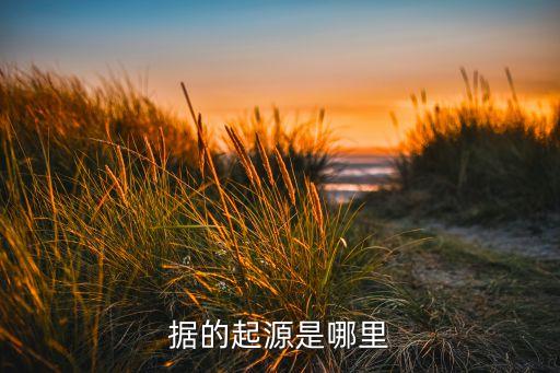 大數(shù)據(jù)的歷史,什么是大數(shù)據(jù)?