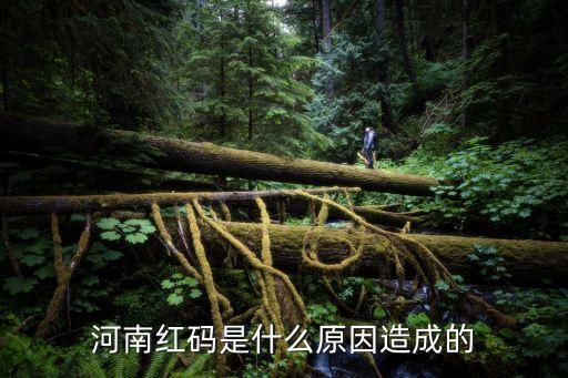 趙勇大數(shù)據(jù)專家,廣東醫(yī)學院院長趙勇逝世享年45歲