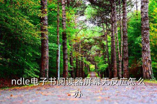 kindle插數(shù)據(jù)線沒反應,Kindle插電腦沒反應