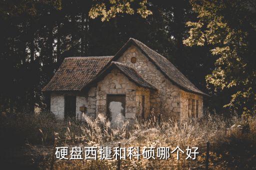 廣州科碩自動化設(shè)備,科碩自動化設(shè)備有限公司