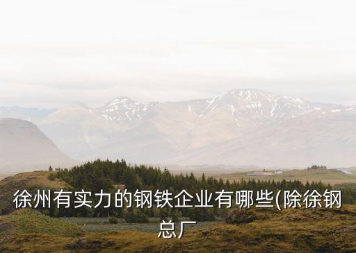 徐州有實(shí)力的鋼鐵企業(yè)有哪些(除徐鋼總廠