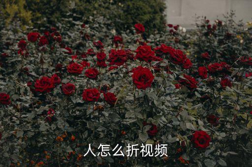 人怎么折視頻