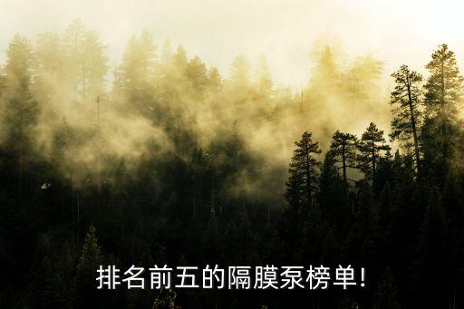 排名前五的隔膜泵榜單!