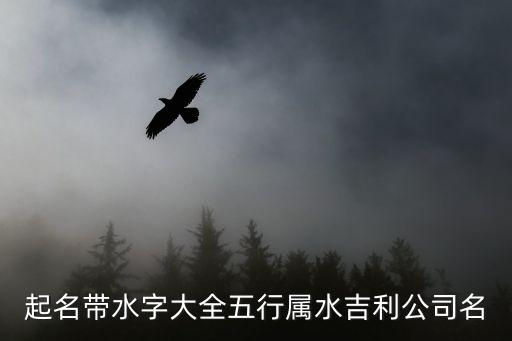 自動(dòng)化設(shè)備公司名字帶水,制造自動(dòng)化設(shè)備的公司名稱
