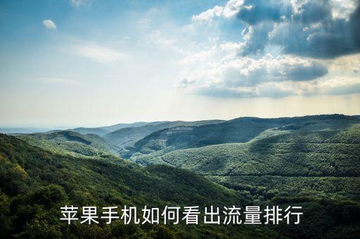  蘋果手機如何看出流量排行