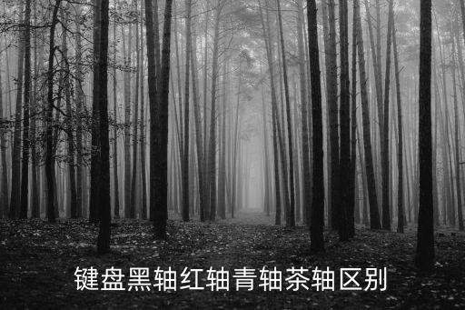 鍵盤黑軸紅軸青軸茶軸區(qū)別