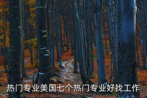 熱門專業(yè)美國七個(gè)熱門專業(yè)好找工作