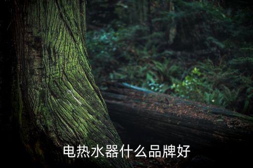 電熱水器什么品牌好