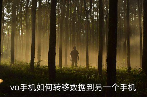 手機(jī)轉(zhuǎn)移數(shù)據(jù),榮耀手機(jī)轉(zhuǎn)移數(shù)據(jù)