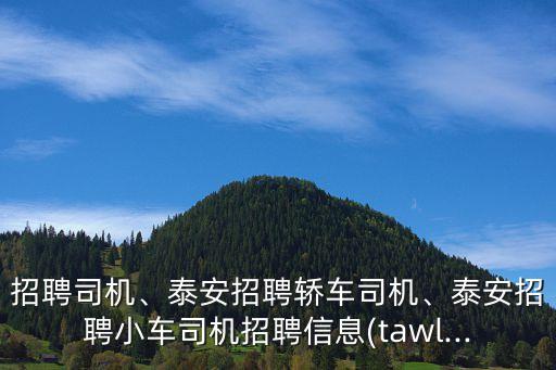 泰安機(jī)電自動(dòng)化公司招聘,煙草公司招什么專業(yè)?