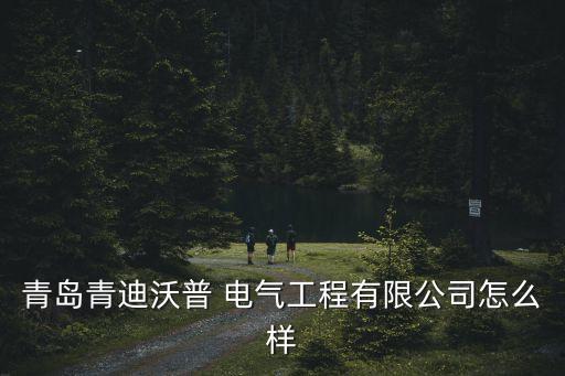 青島青迪沃普 電氣工程有限公司怎么樣