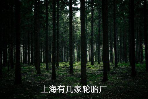 上海有幾家輪胎廠