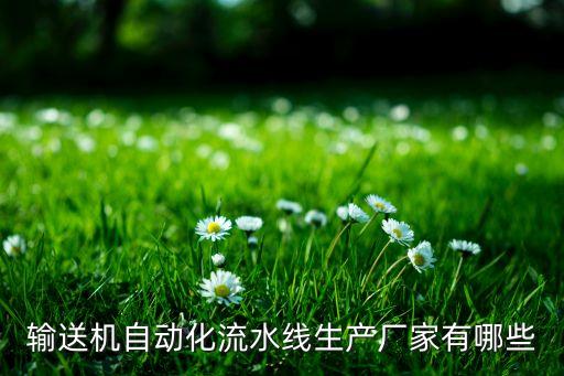 輸送機自動化流水線生產(chǎn)廠家有哪些