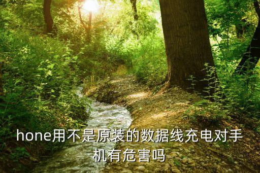 手機(jī)用非原裝數(shù)據(jù)線好嗎,你用原裝數(shù)據(jù)線傷手機(jī)嗎?