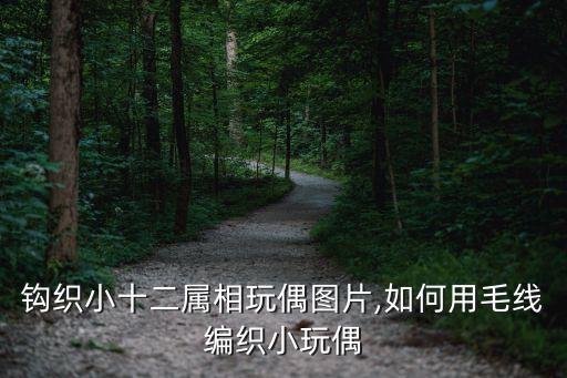 自動(dòng)化鉤織打結(jié)設(shè)備,鉤針小十二屬相玩偶圖片鉤小動(dòng)物玩具