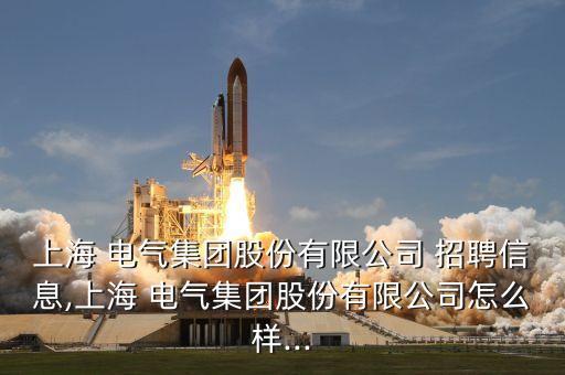 上海 電氣集團(tuán)股份有限公司 招聘信息,上海 電氣集團(tuán)股份有限公司怎么樣...