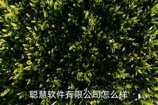 恩施自動化公司有哪些企業(yè),惠農紅果子工業(yè)園有哪些企業(yè)?