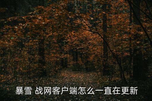  暴雪 戰(zhàn)網客戶端怎么一直在更新