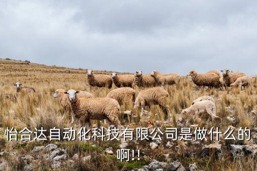 東莞制作鞋子的自動化設(shè)備,自動制鞋生產(chǎn)設(shè)備