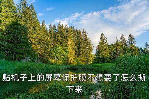 自動(dòng)化設(shè)備自動(dòng)撕手機(jī)保護(hù)膜,手機(jī)保護(hù)膜怎么撕?